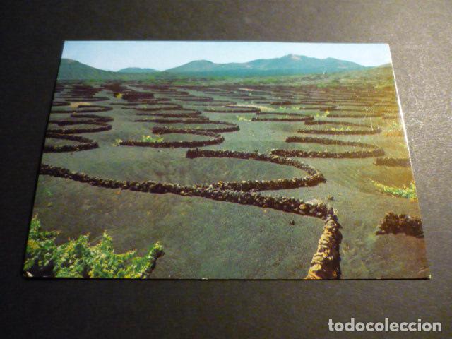 Postales: LA GERIA LANZAROTE VI&Ntilde;AS - Foto 1