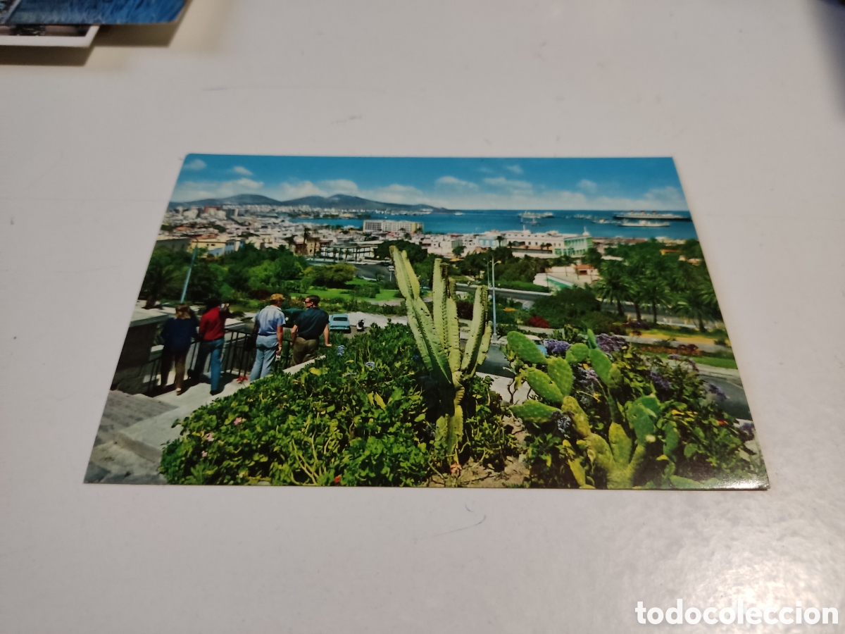 Postales: Postal Canarias jardines - Foto 1