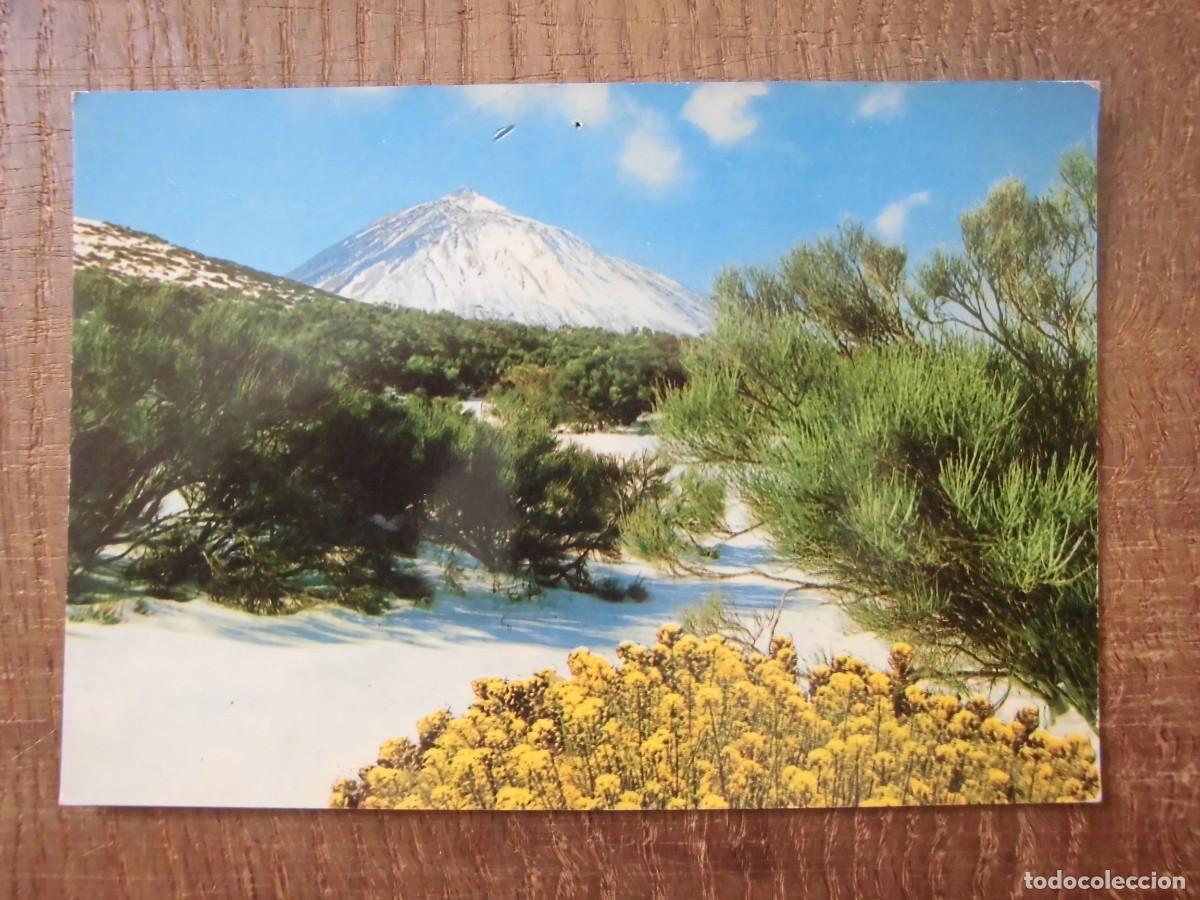 Postales: POSTAL TENERIFE TEIDE EDICIONES GAST&Eacute;IZ - Foto 1