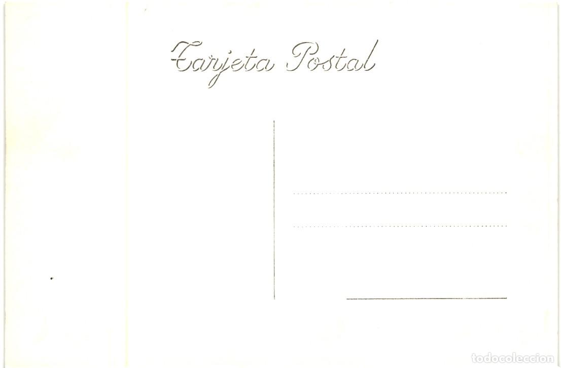Postales: DRAGO MILENARIO DE ICOD,TENERIFE - Foto 2