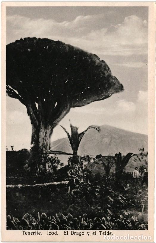 Postales: TENERIFE - ICOD. EL DRAGO Y EL TEIDE - Foto 1