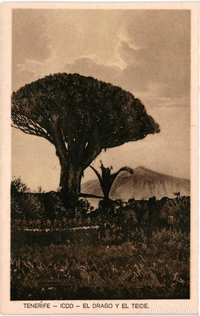 Postales: TENERIFE - ICOD. EL DRAGO Y EL TEIDE - Foto 1