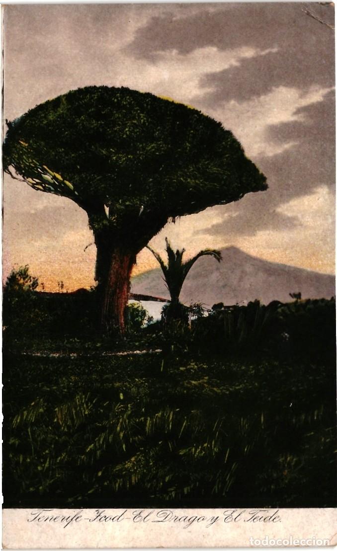 Postales: TENERIFE - ICOD. EL DRAGO Y EL TEIDE - Foto 1