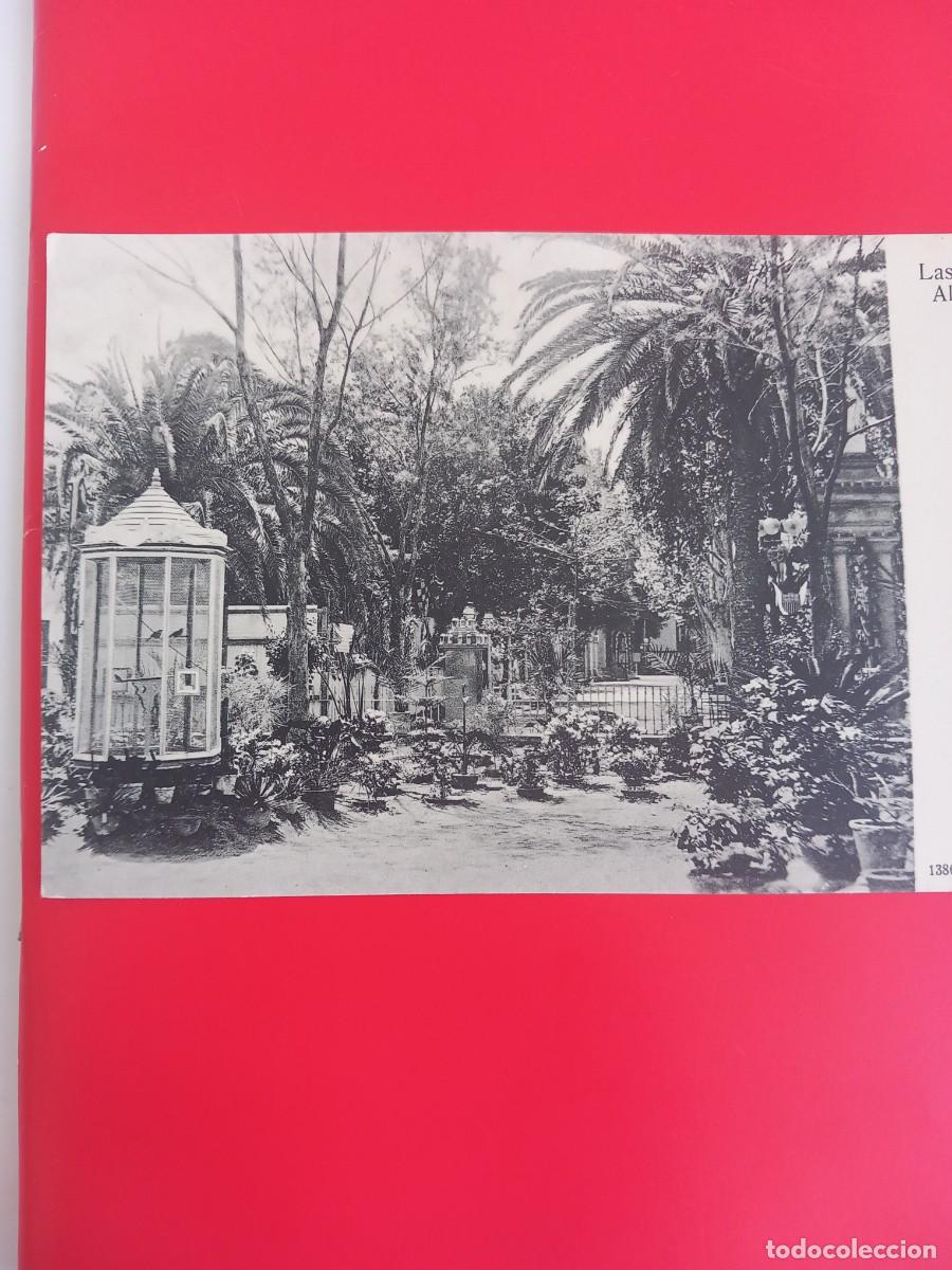 Postales: LAS PALMAS, ALAMEDA. Canarias. - Foto 1