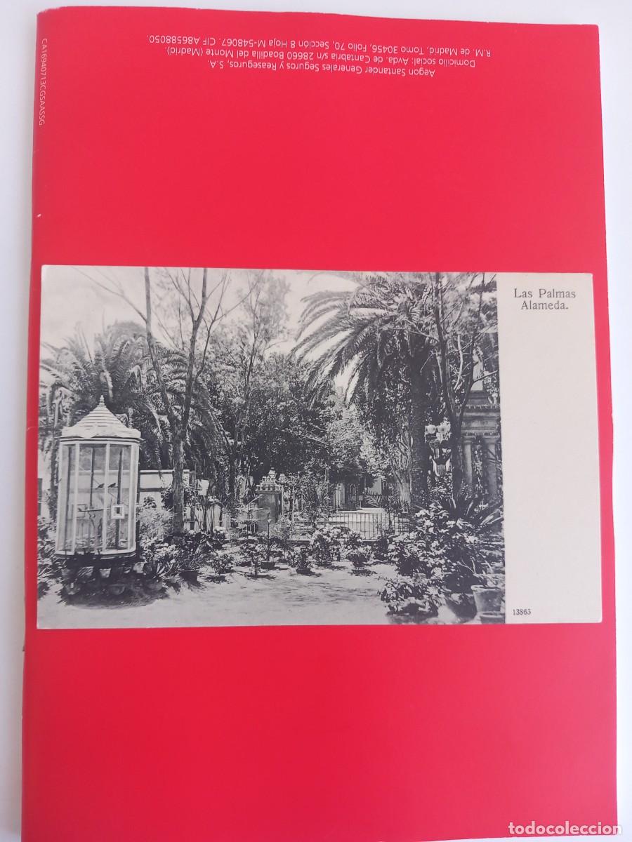 Postales: LAS PALMAS, ALAMEDA. Canarias. - Foto 2
