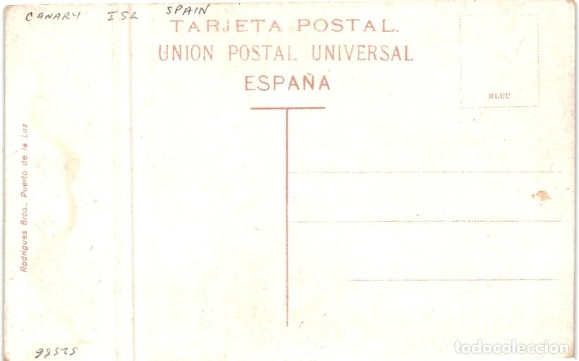 Postales: POSTAL LAS PALMAS. TIPOS CANARIOS. - Foto 2