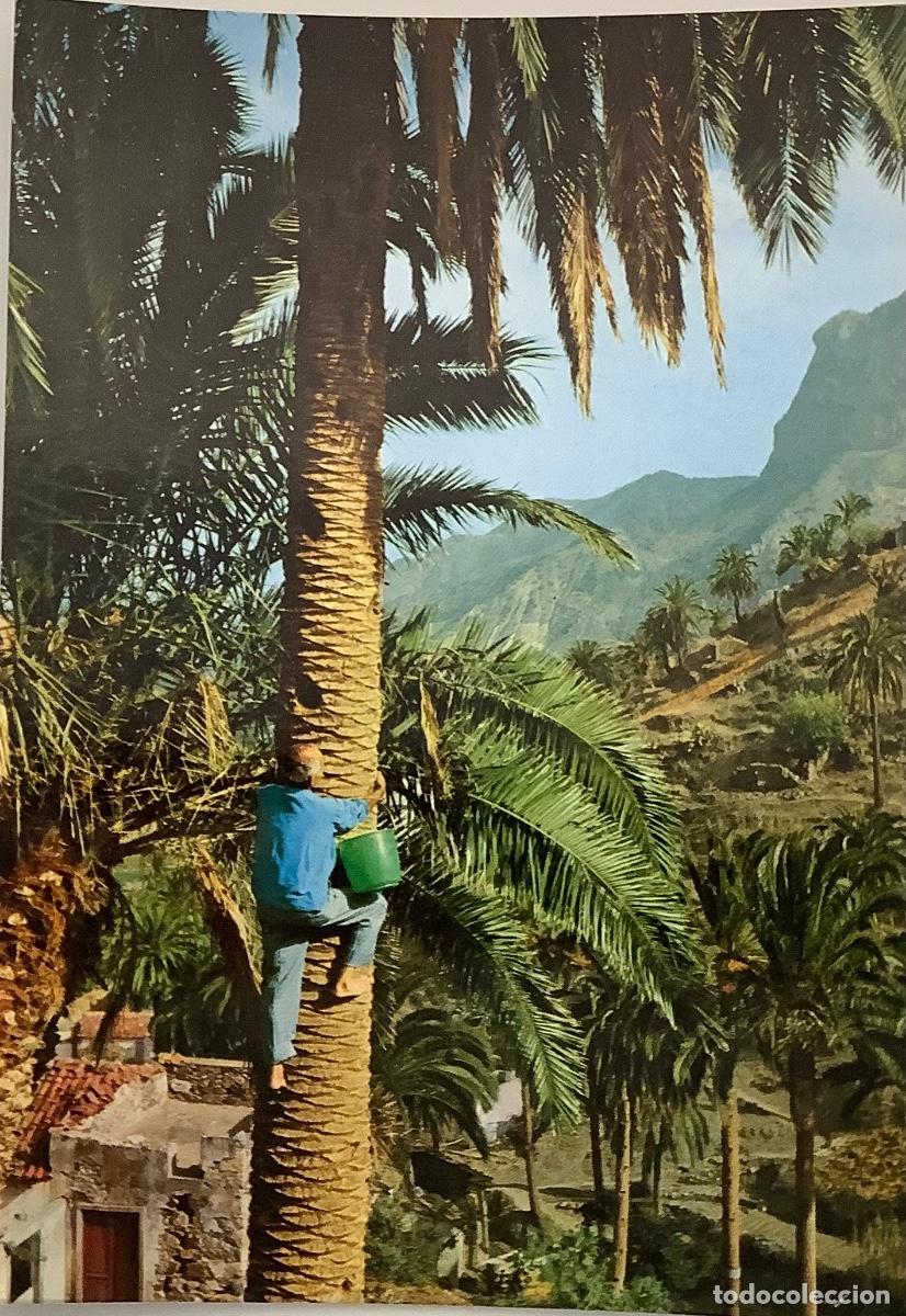 Postales: CANARIAS, ESCENA T&Iacute;PICA Holidays. - Foto 1