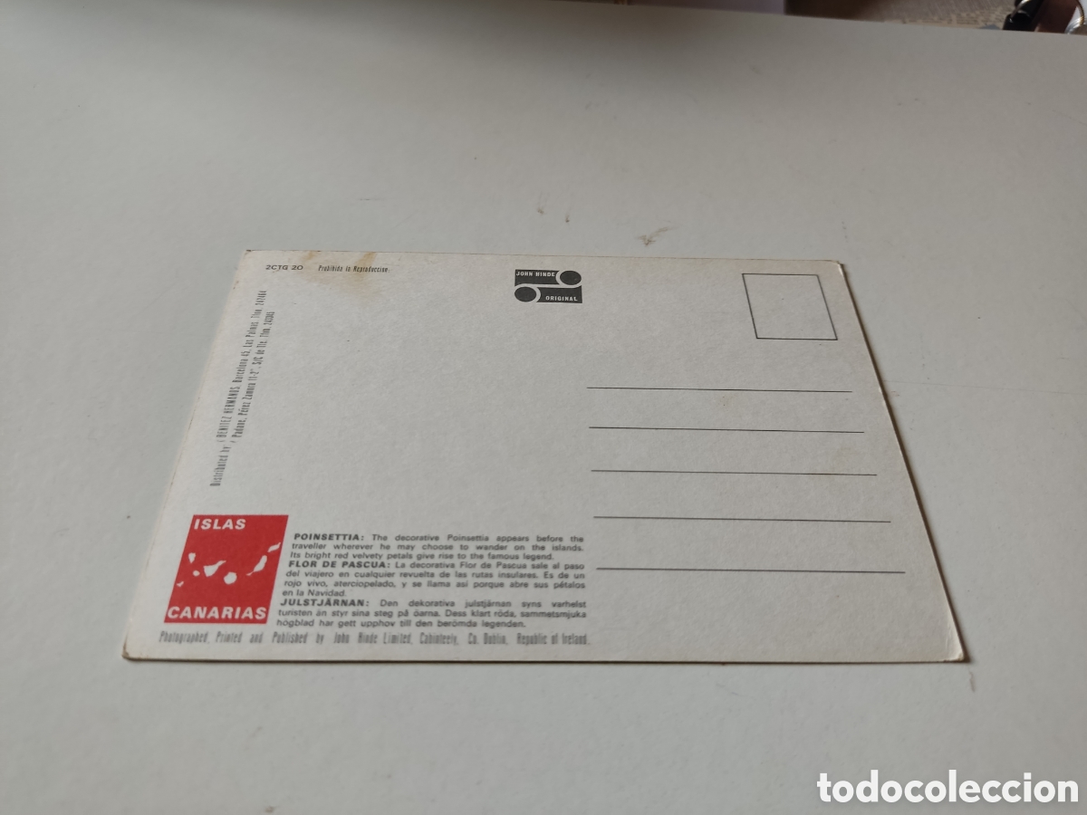 Postales: Postal Canarias flores - Foto 2
