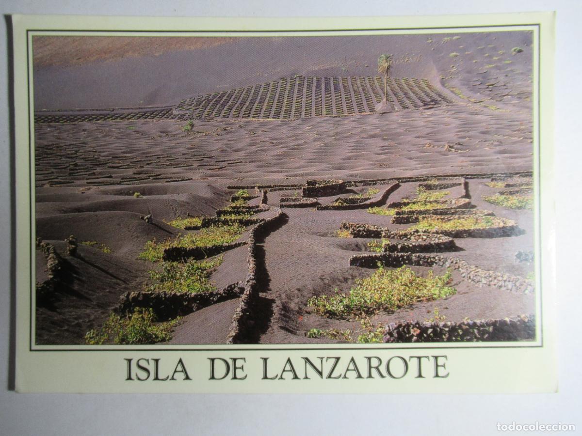 Postales: Isla de Lanzarote - La Geria - Foto 1