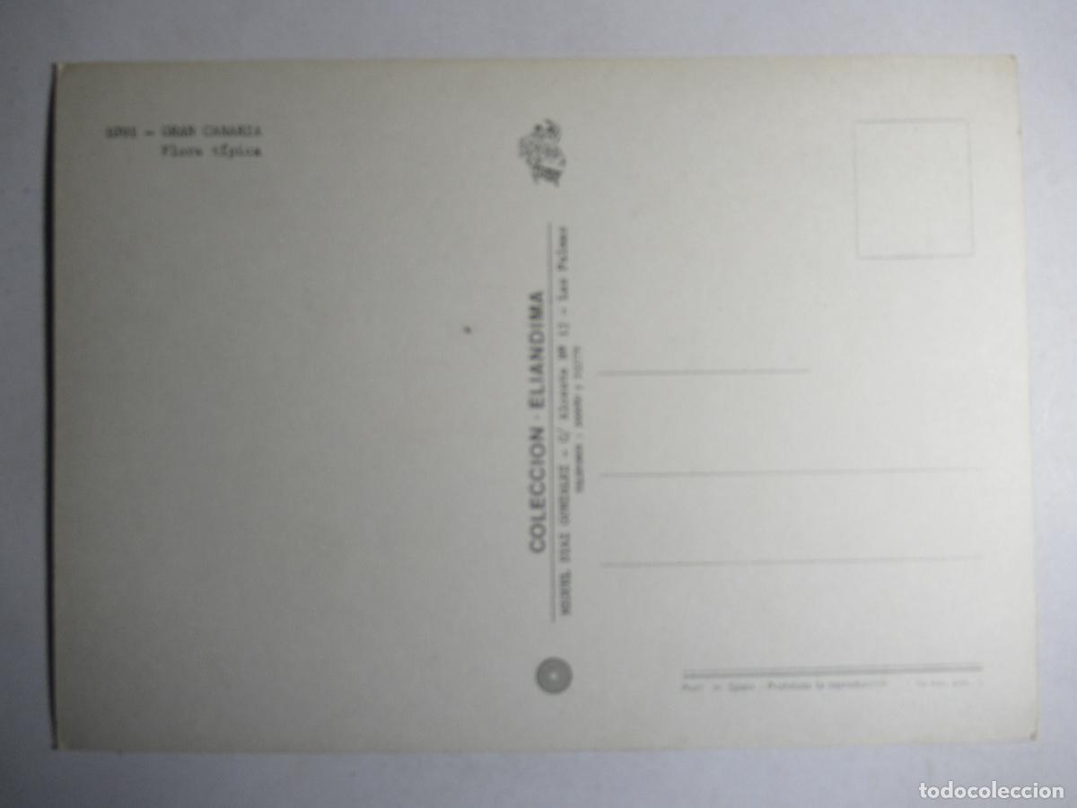 Postales: Gran Canaria - Flora t&iacute;pica - Foto 2