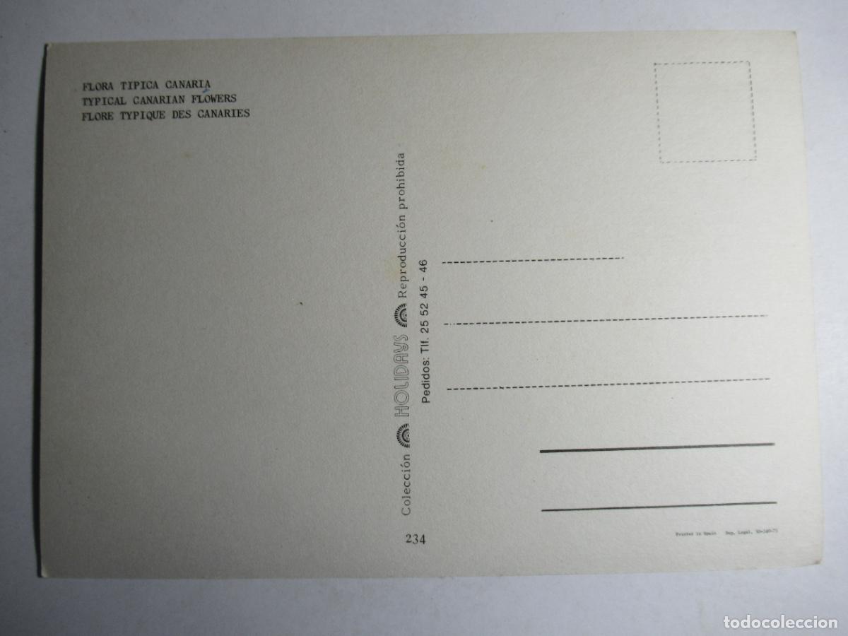 Postales: Flora t&iacute;pica Canaria - Foto 2