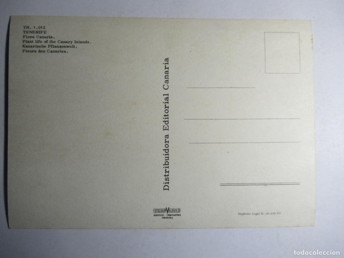 Postales: Tenerife - Flora Canaria - Foto 2
