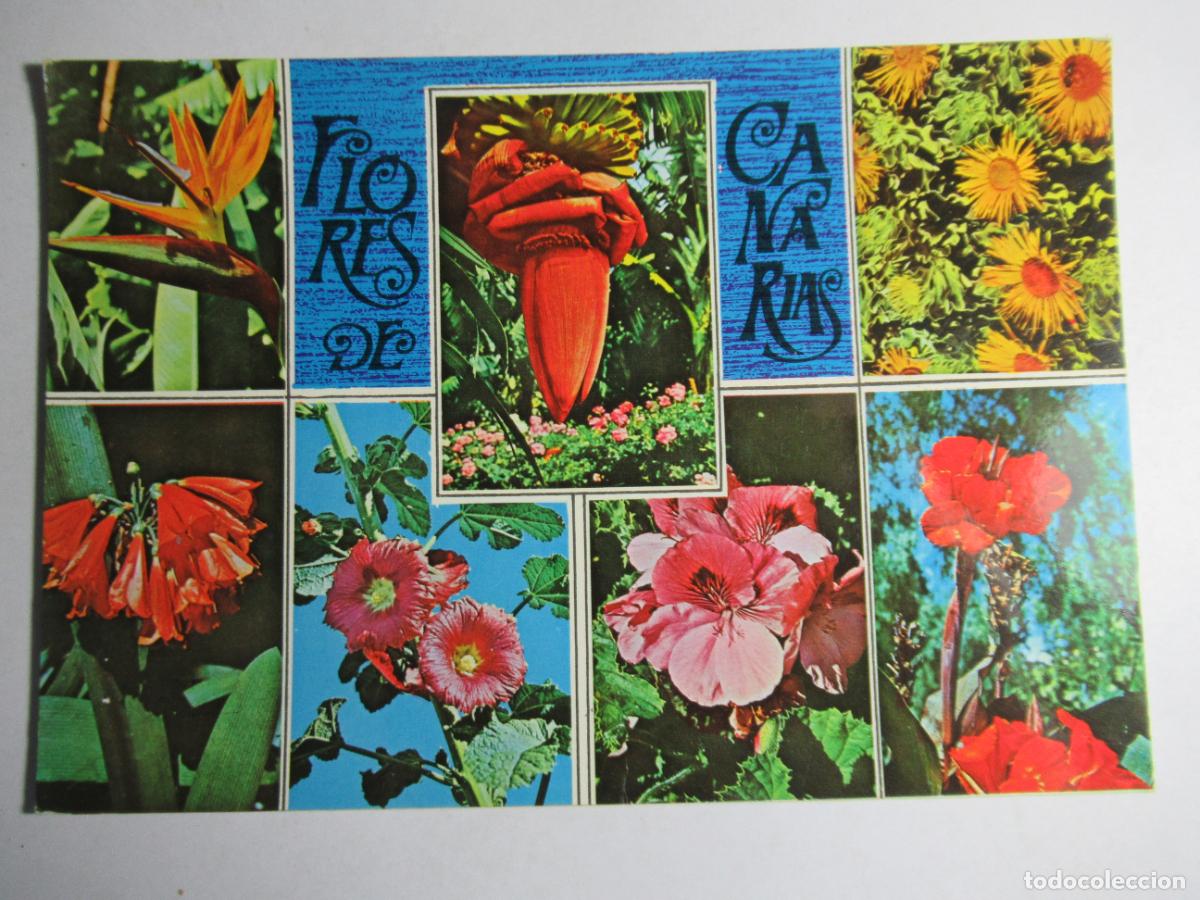 Postales: Flores de Canarias S/C - Foto 1