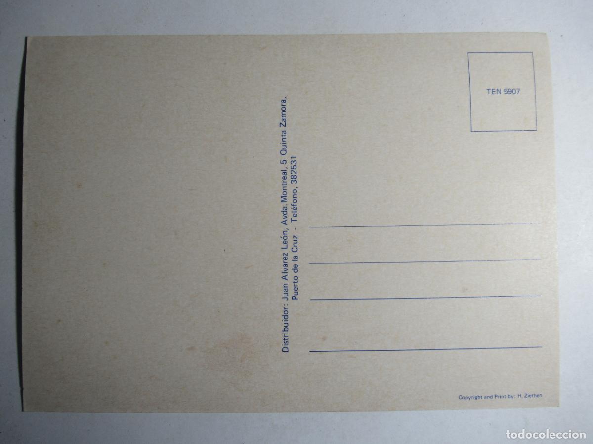 Postales: Saludos de Tenerife S/C - Foto 2