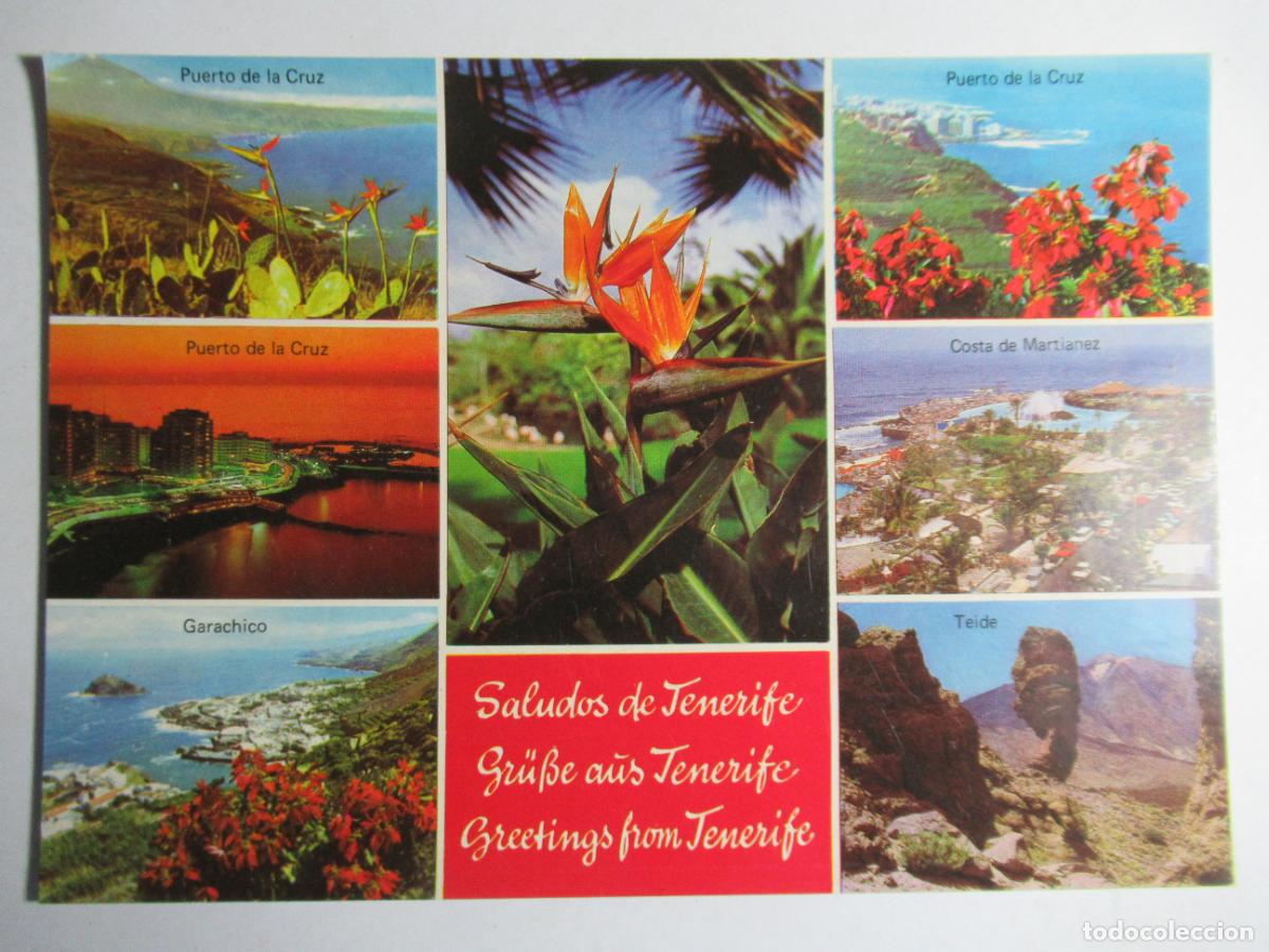 Postales: Saludos de Tenerife S/C - Foto 1