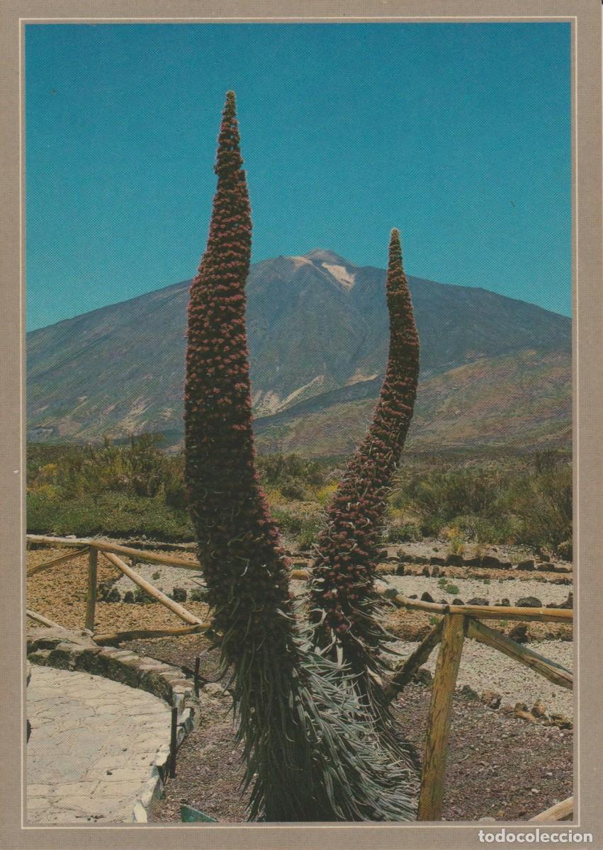 Postales: (110) TENERIFE . EL TEIDE ... SIN CIRCULAR - Foto 1