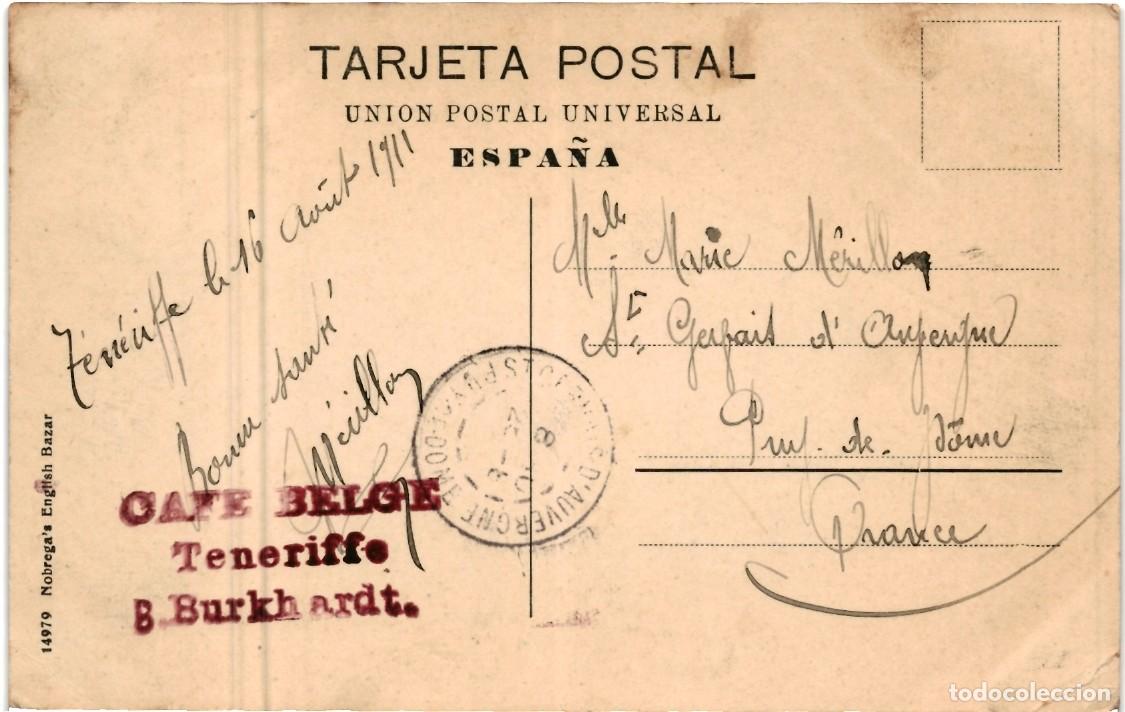 Postales: TENERIFE.- SUBIDA A LA LAGUNA. - Foto 2
