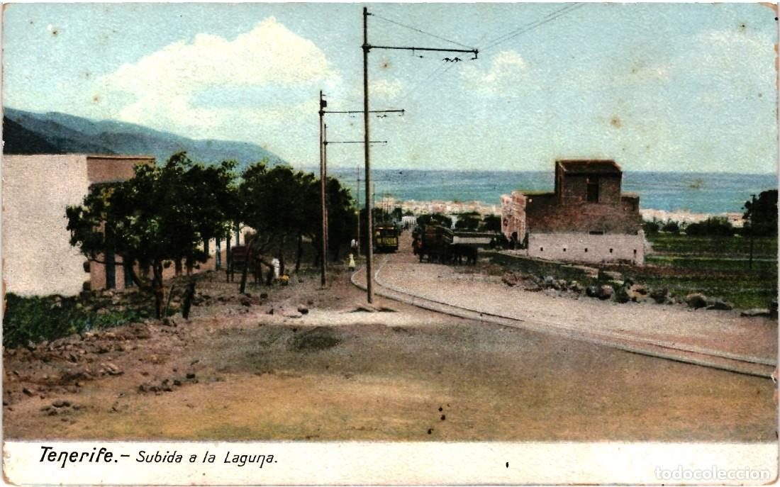 Postales: TENERIFE.- SUBIDA A LA LAGUNA. - Foto 1