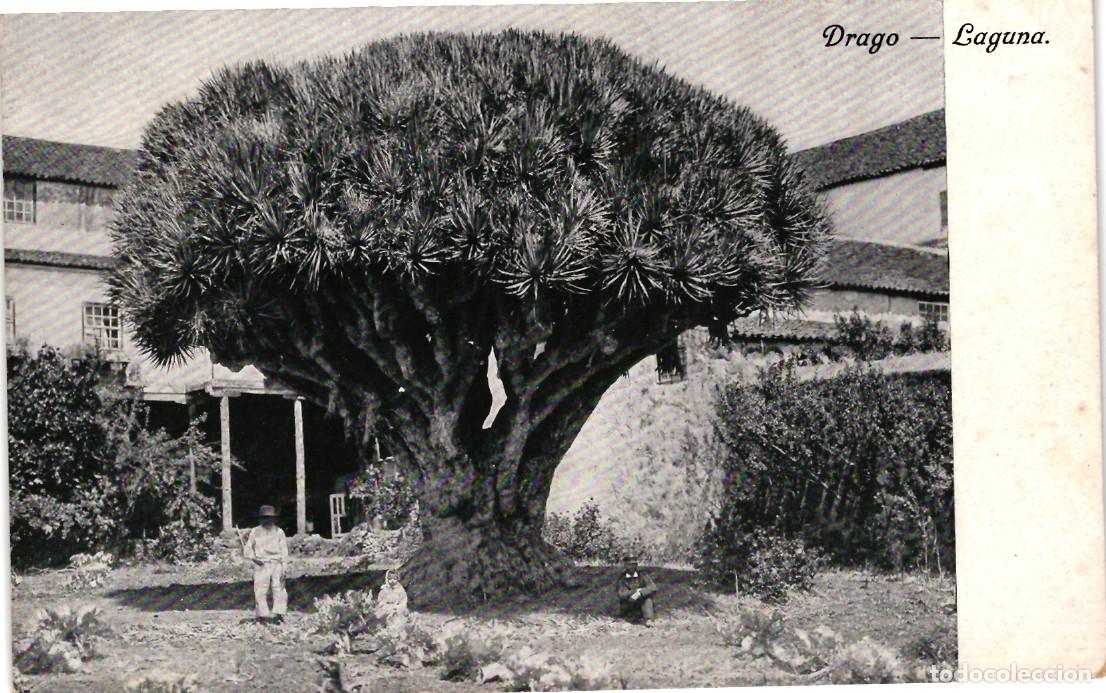 Postales: Tenerife - La Laguna - Foto 1