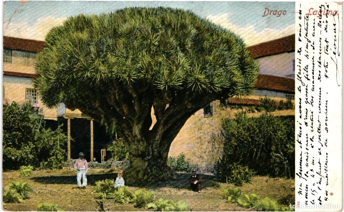 Postales: Tenerife - La Laguna - Foto 1