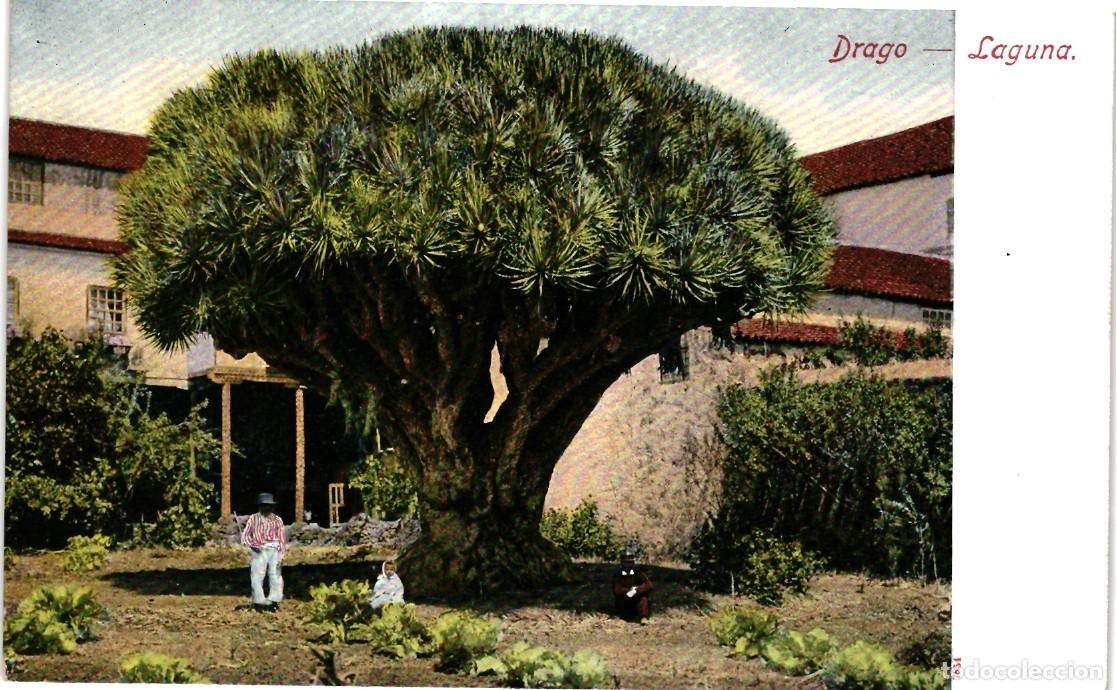 Postales: Tenerife - La Laguna - Foto 1