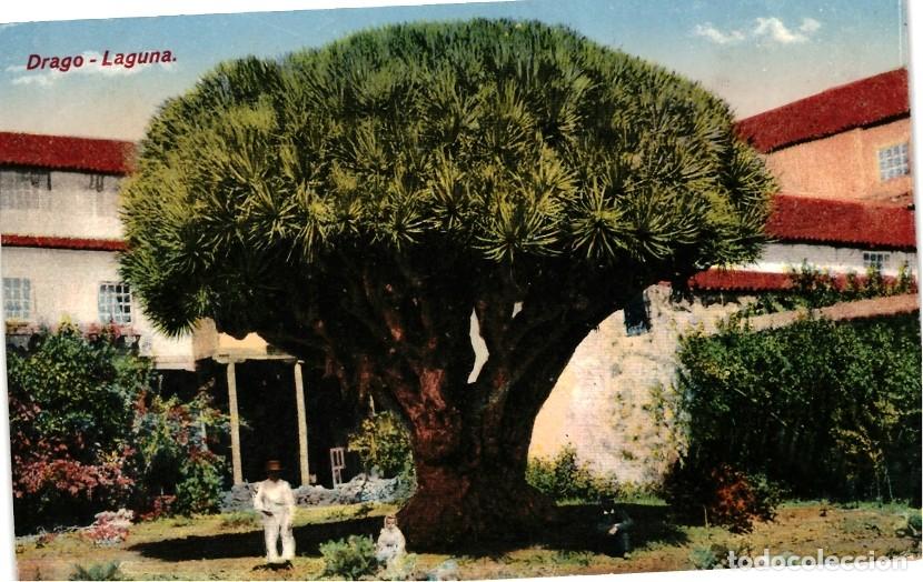 Postales: Tenerife - La Laguna - Foto 1
