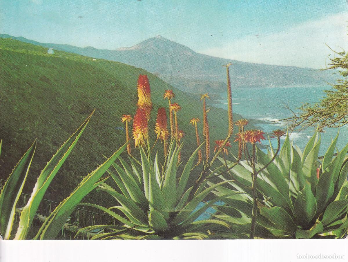 Postales: TENERIFE COSTA NORTE EL TEIDE - Foto 1