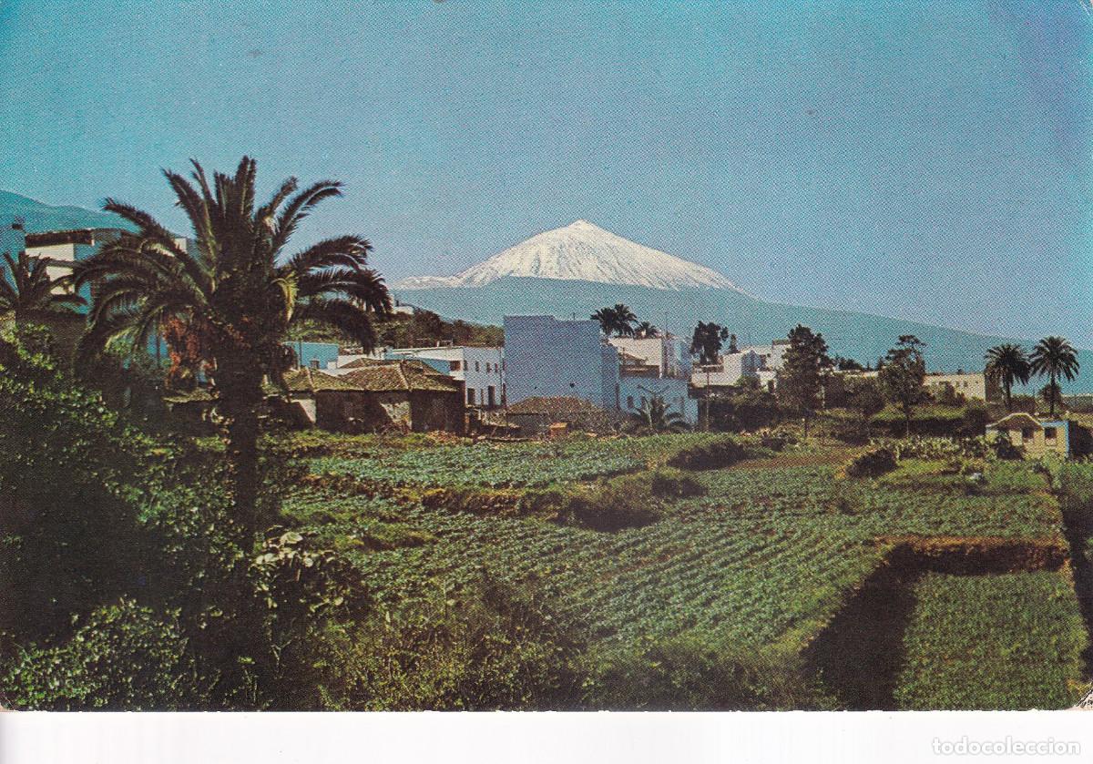Postales: TENERIFE EL TEIDE DESDE LA VICTORIA - Foto 1