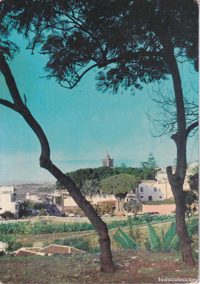 Postales: TENERIFE ICOD DE LOS VINOS - Foto 1