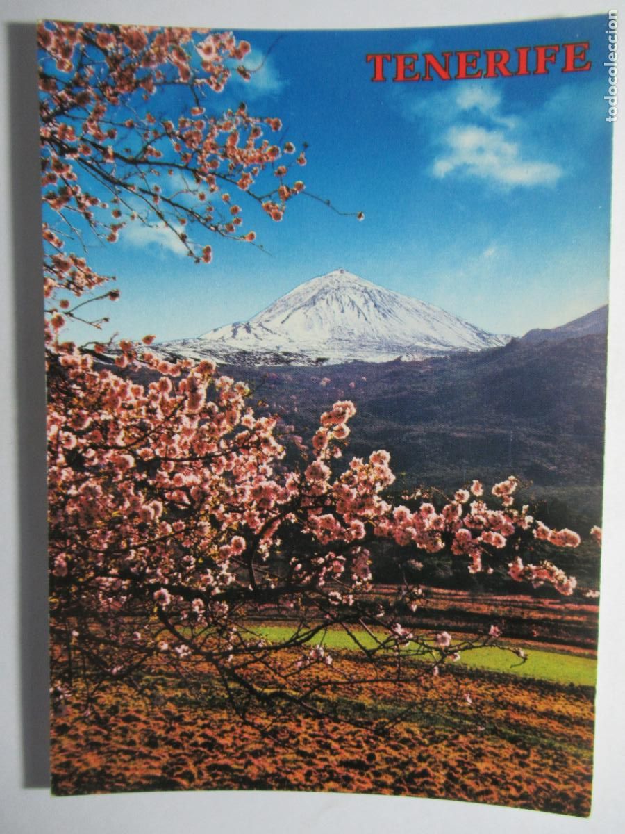 Postales: Tenerife - Almendros en flor. El Teide - Foto 1