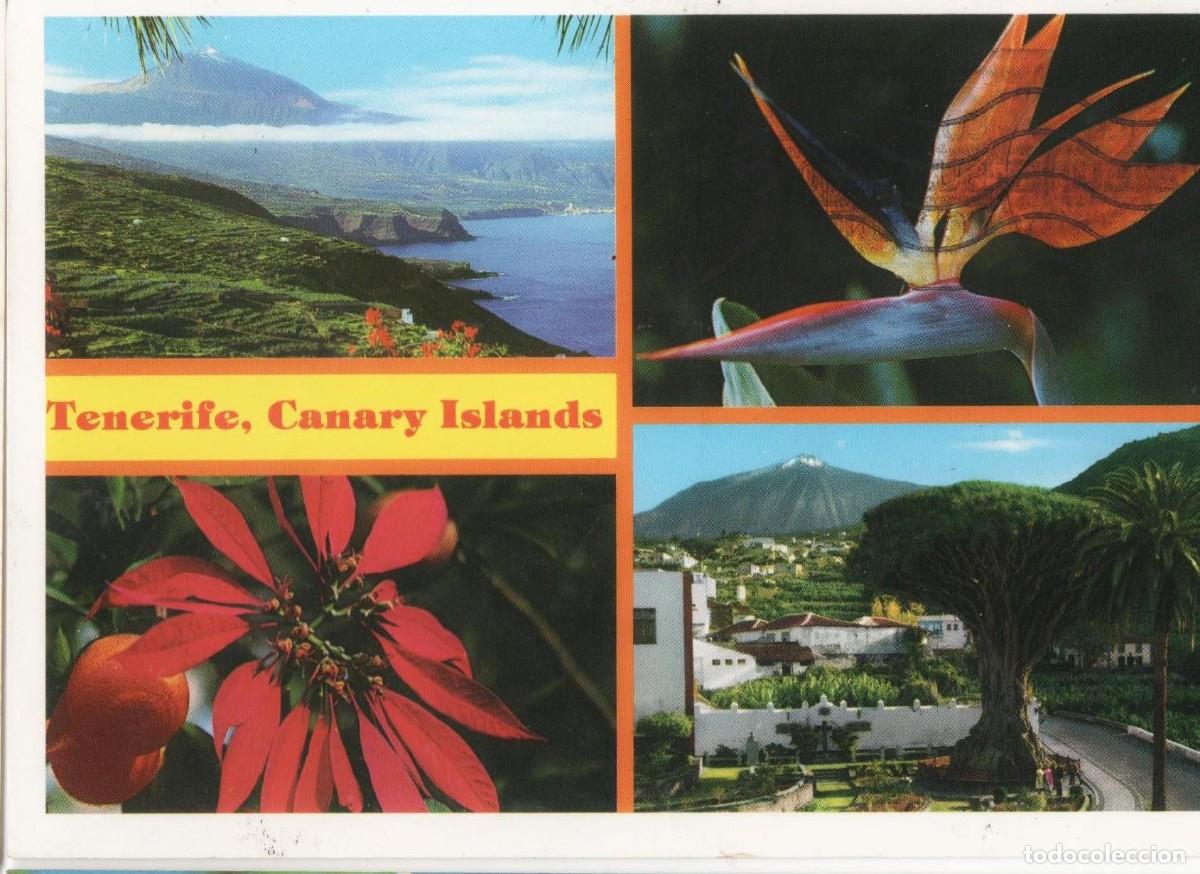 Postales: - TENERIFE--CIRCULADA--- - Foto 1