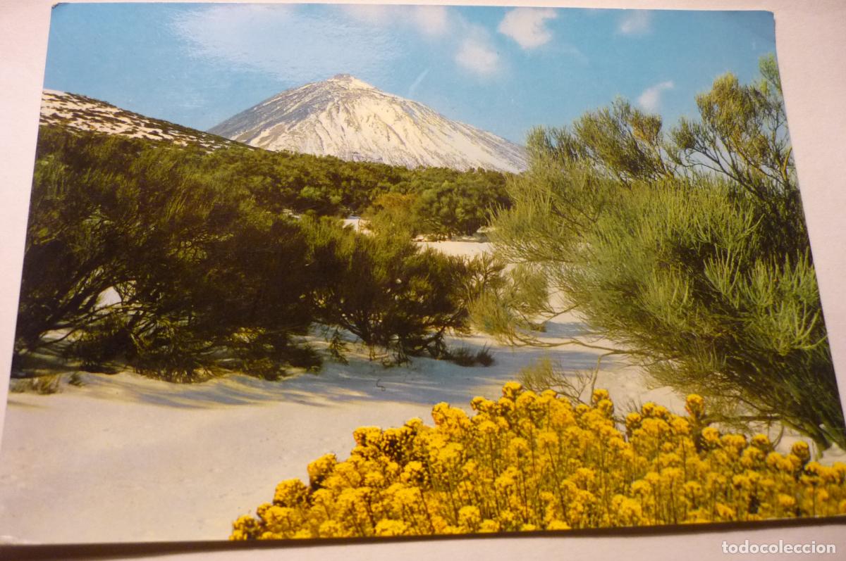 Postales: postal tenerife el teide circulada cm - Foto 1