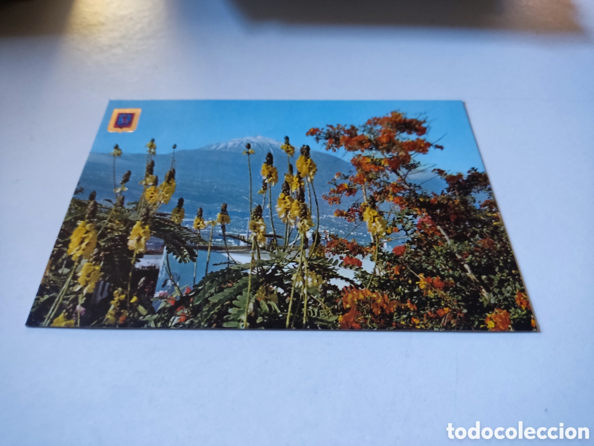 Postales: Postal Tenerife el Teide - Foto 1