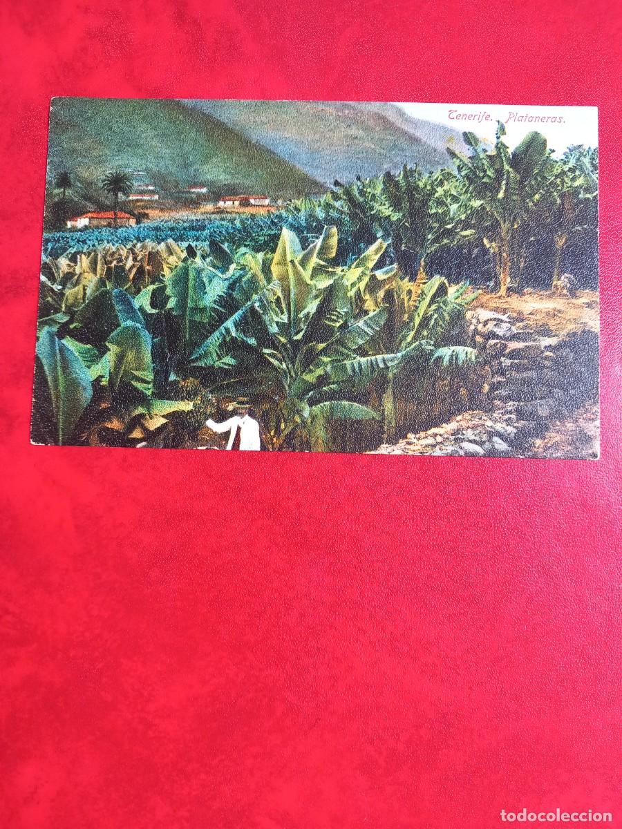 Postales: TENERIFE, PLATANERAS. - Foto 1