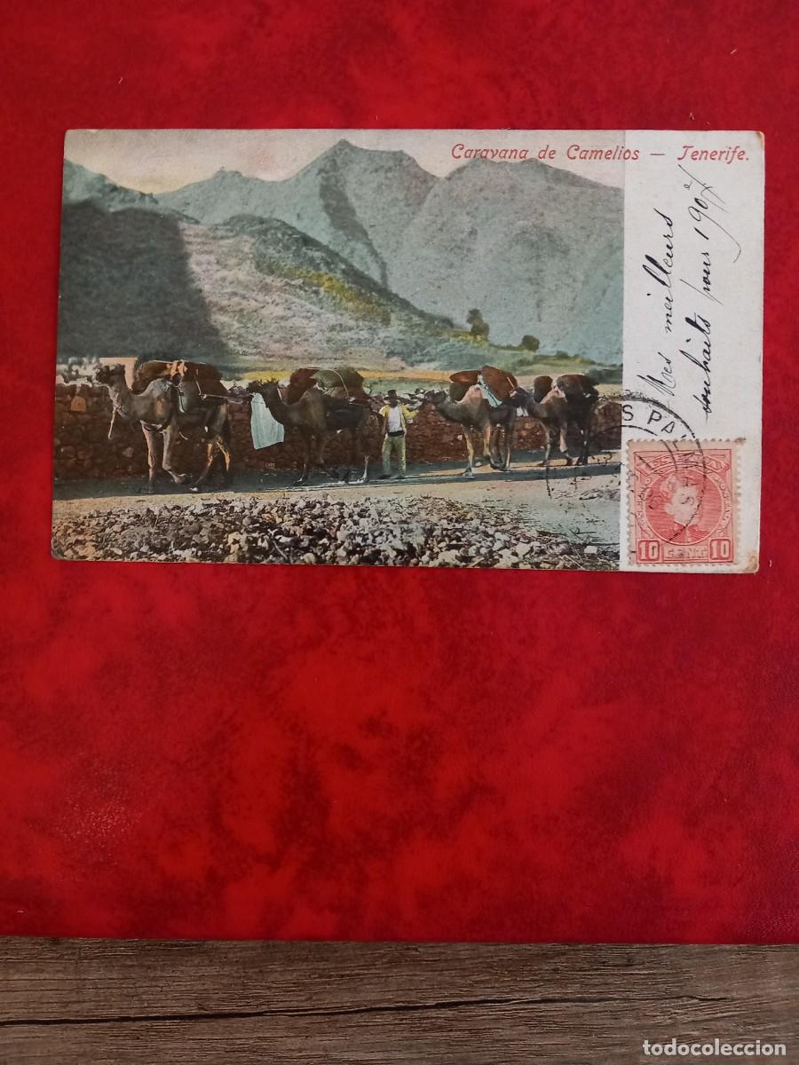 Postales: TENERIFE, CARAVANAS DE CAMELLOS. - Foto 1