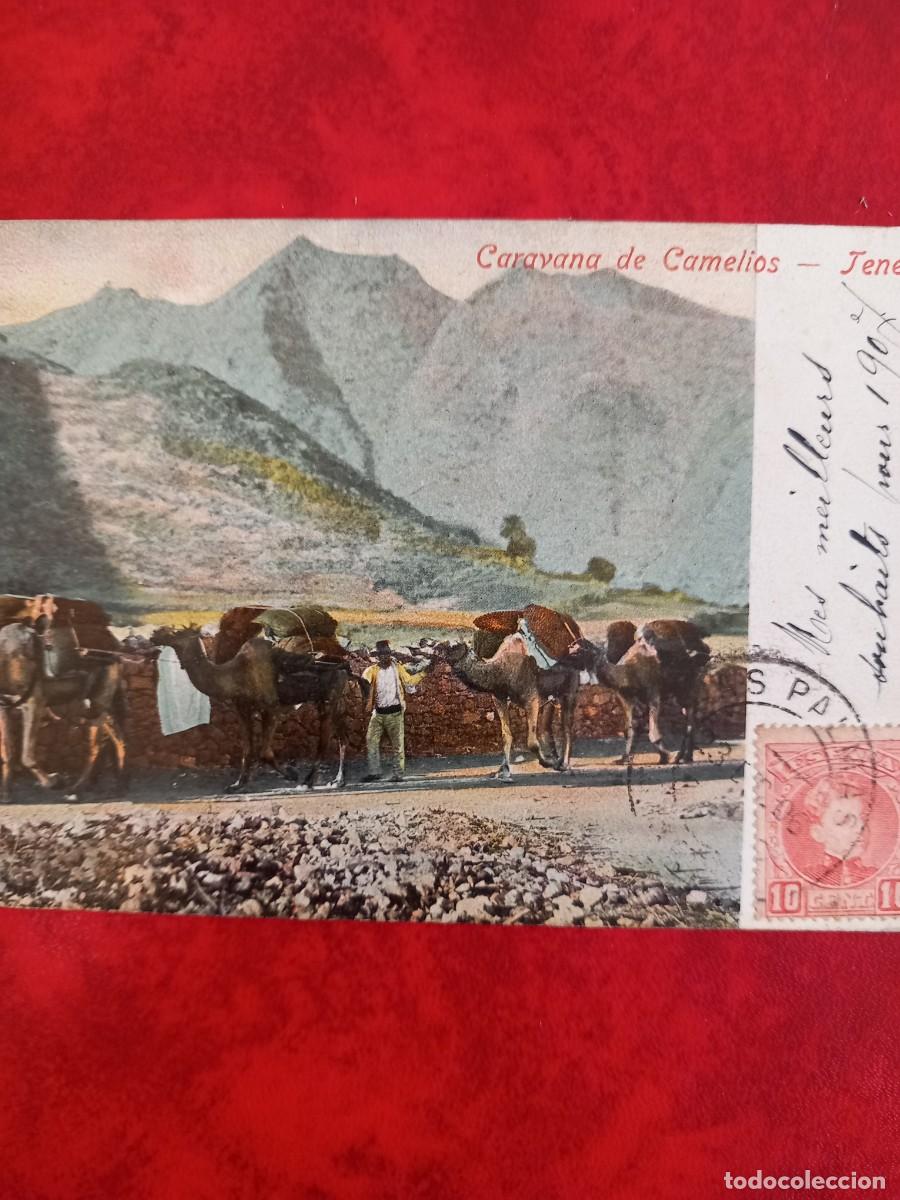 Postales: TENERIFE, CARAVANAS DE CAMELLOS. - Foto 2