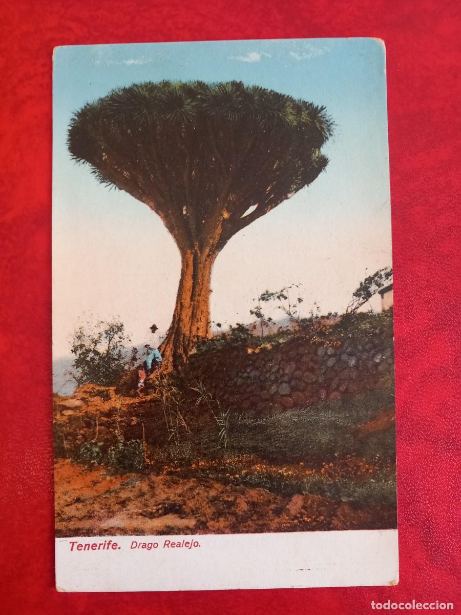 Postales: TENERIFE, DRAGO REALEJO. - Foto 1