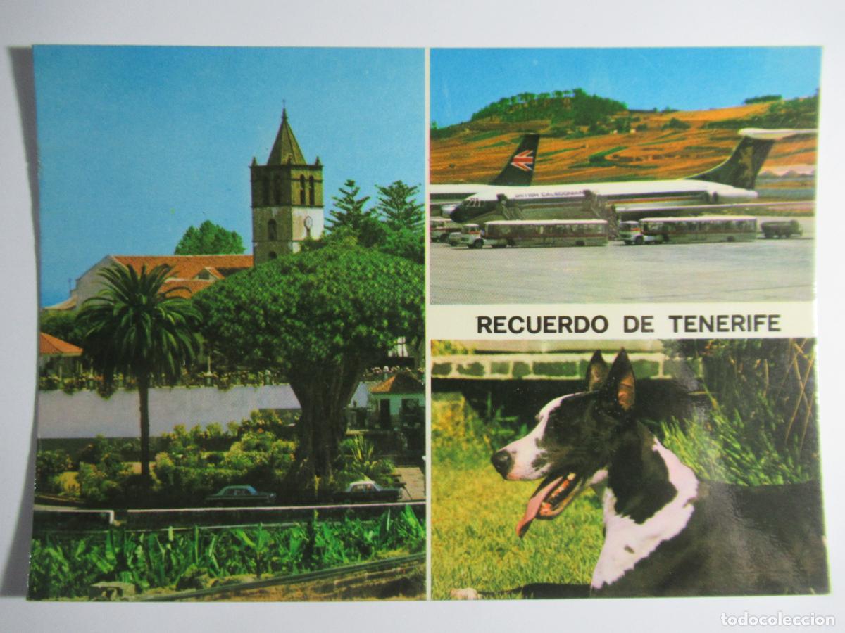 Postales: Recuerdo de Tenerife - Foto 1