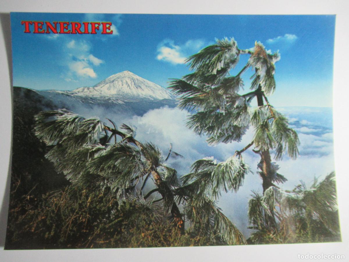 Postales: Tenerife - Canarias - El Teide - Foto 1