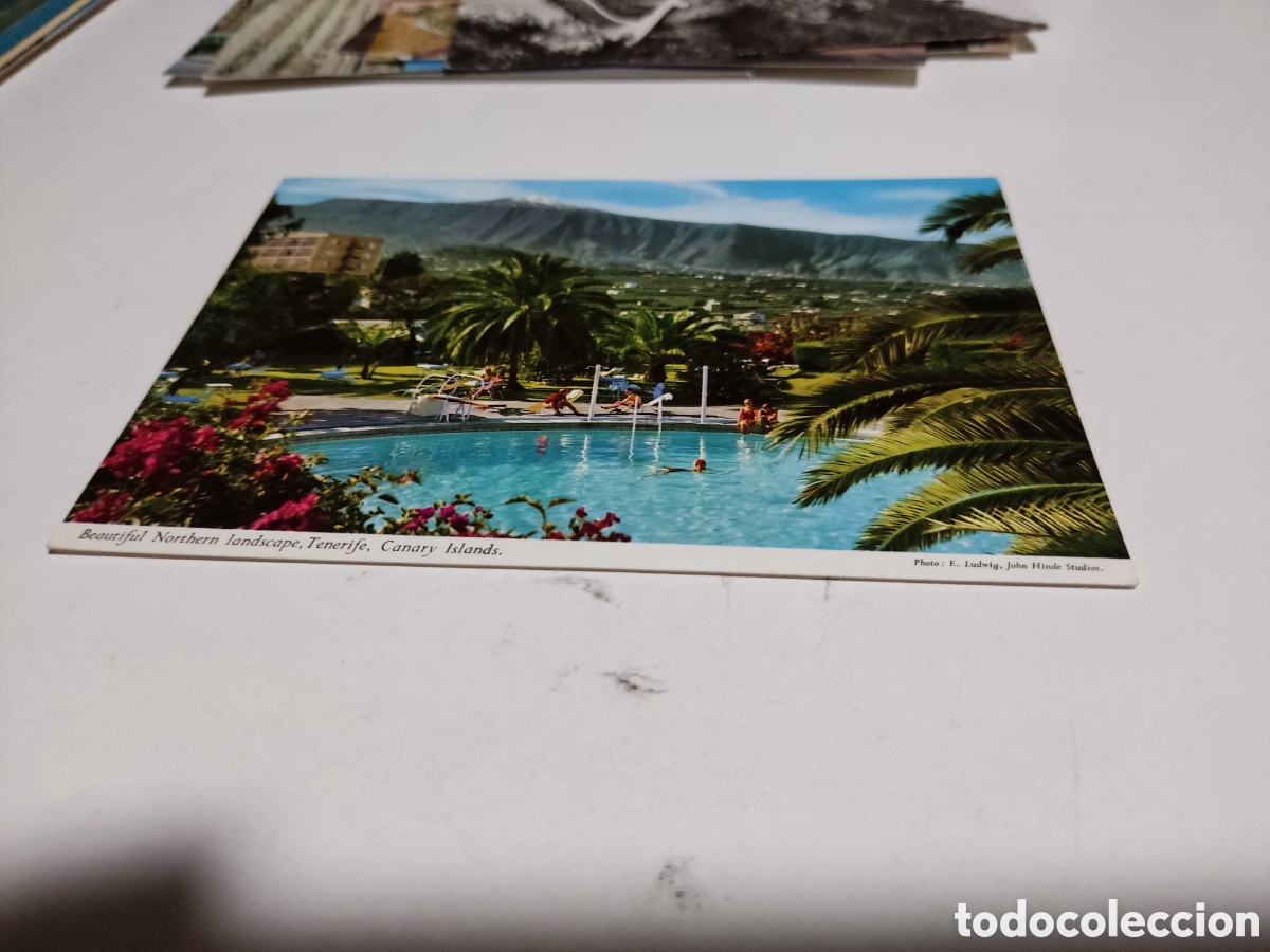 Postales: Postal Tenerife piscina - Foto 1