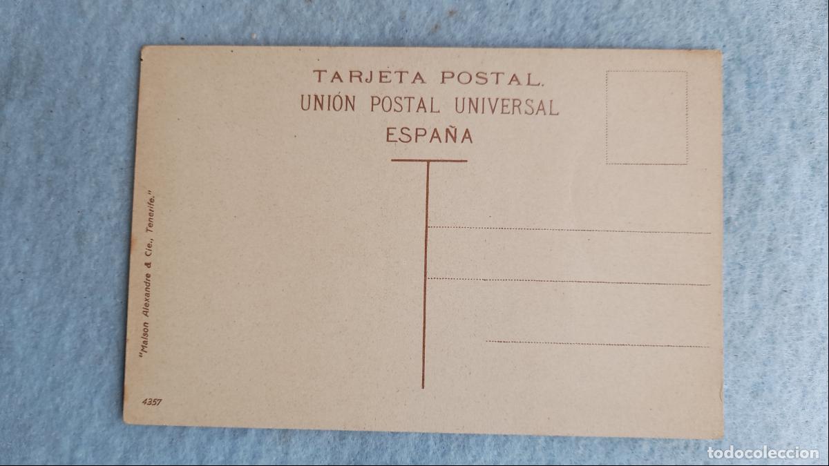 Postales: Tenerife. Drago Realejo. - Foto 2