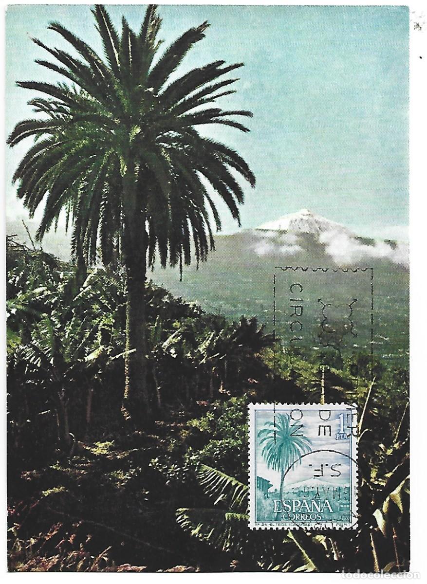 Postales: VALLE DE LA OROTAVA Y TEIDE.- TENERIFE - Foto 1
