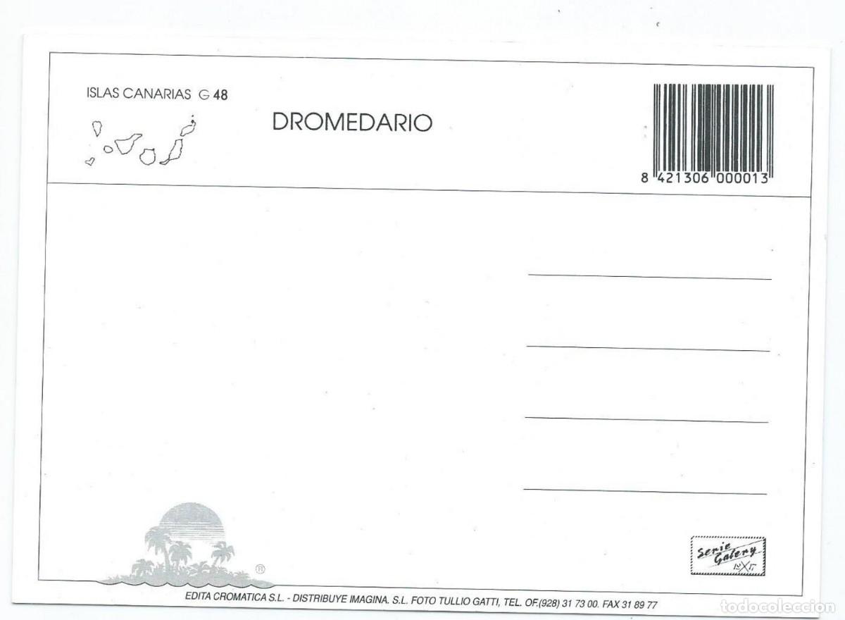 Postales: &rdquo; DROMEDARIO &rdquo;.- TENERIFE - Foto 2