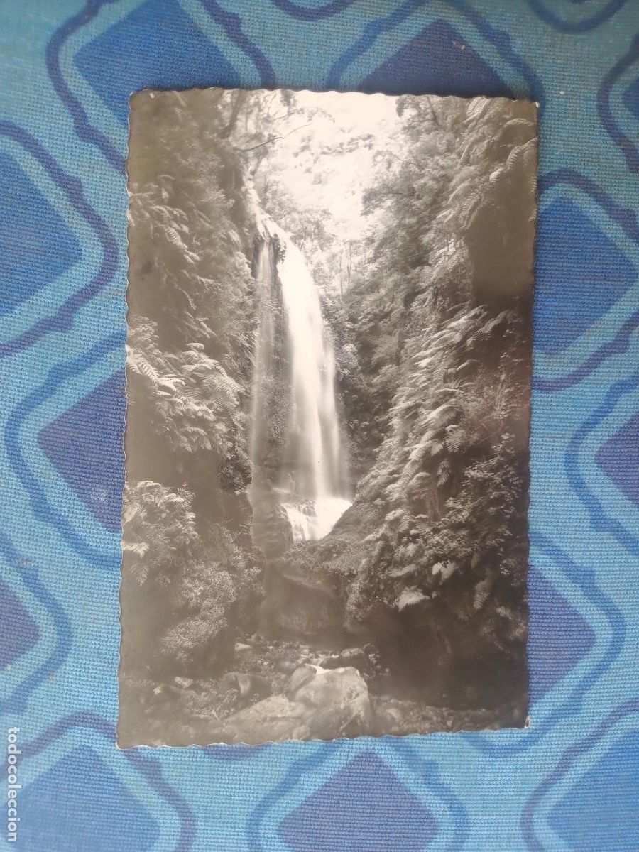 Postales: La Palma, Canarias. Cascada de los Tilos - Foto 1