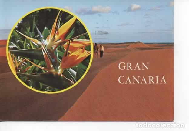 Postales: CANARIAS ESCRITA GRAN CANARIA - Foto 1