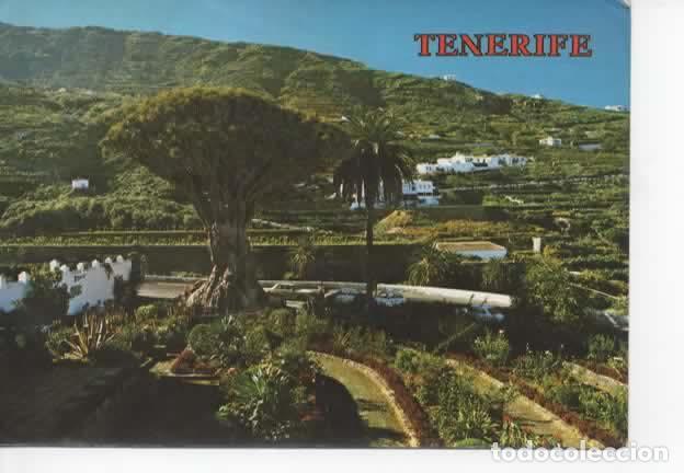 Postales: CANARIAS ESCRITA TENERIFE ICOD - Foto 1