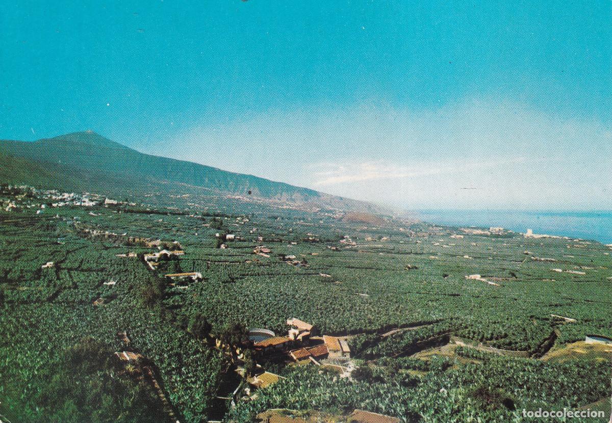 Postales: TENERIFE VALLE DE LA OROTAVA - Foto 1