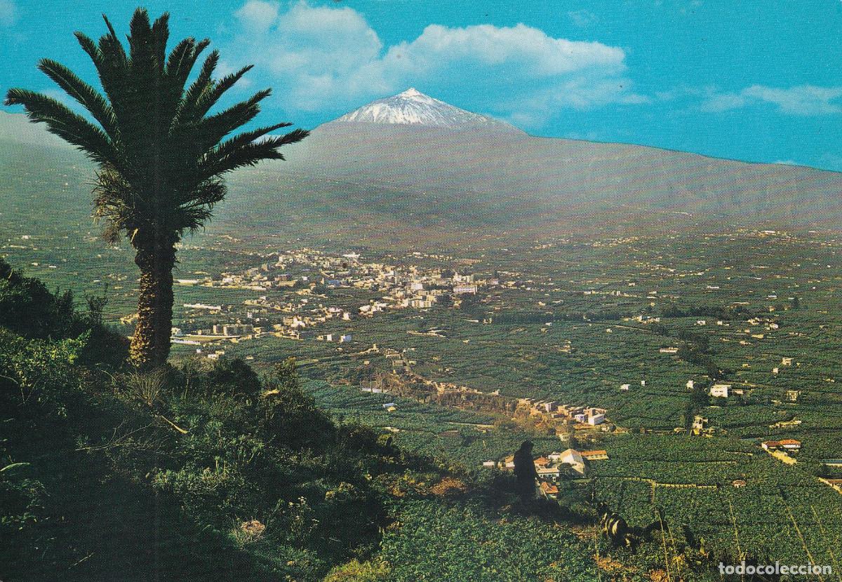 Postales: TENERIFE VALLE DE LA OROTAVA - Foto 1