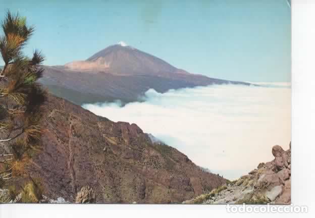 Postales: CANARIAS ESCRITA TENERIFE EL TEIDE - Foto 1