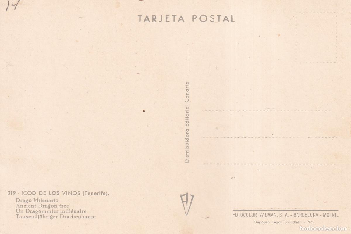 Postales: CANARIAS ICOR DE LOS VINOS EL DRAGO - Foto 2
